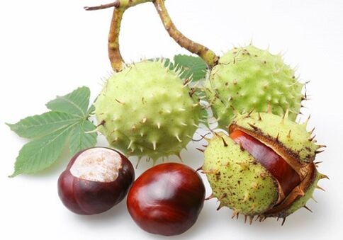 Les fruits de la châtaigne sont riches en nombreuses vitamines et microéléments précieux qui ont un effet positif sur la prostate.